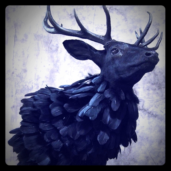 Meet your Posher, Tiffany - Picture 1 of 1